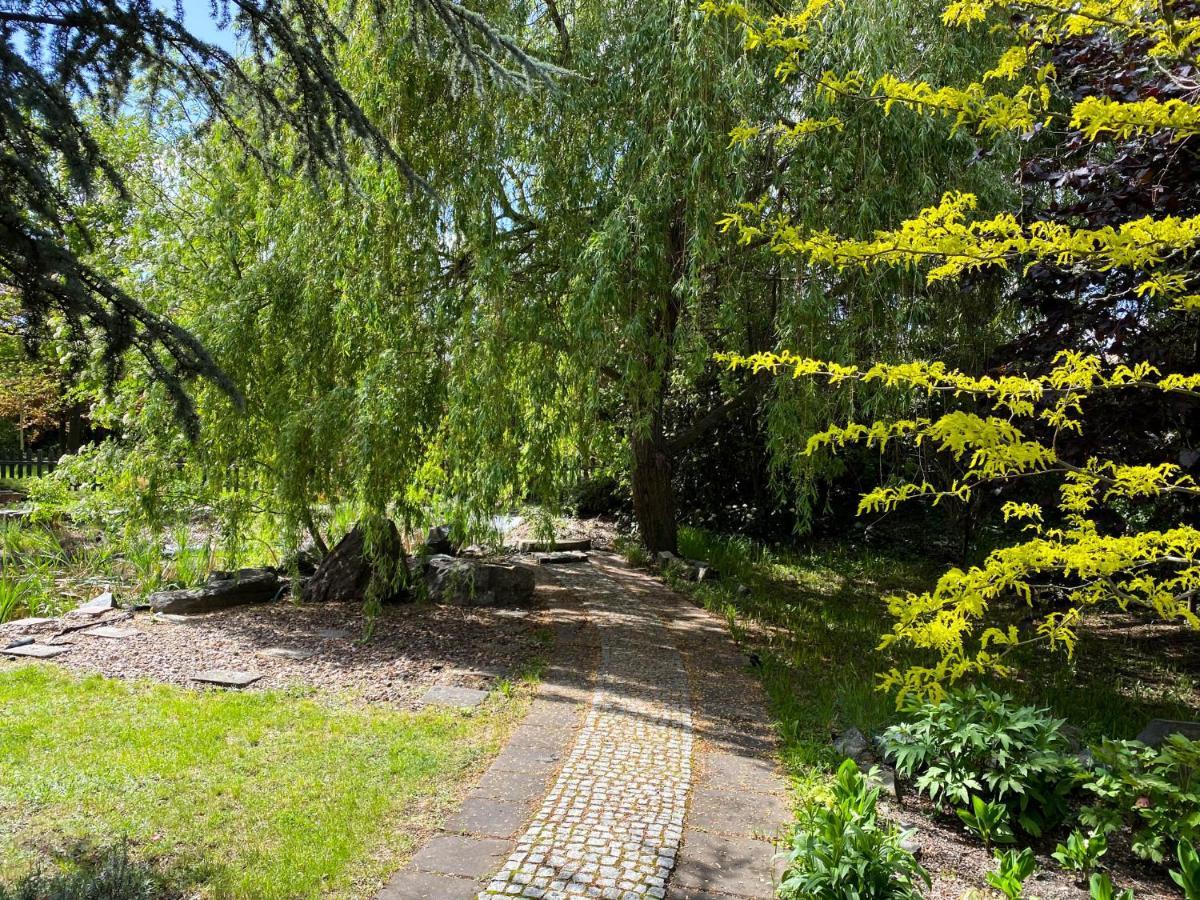 Hotel Garden Oleśnica エクステリア 写真